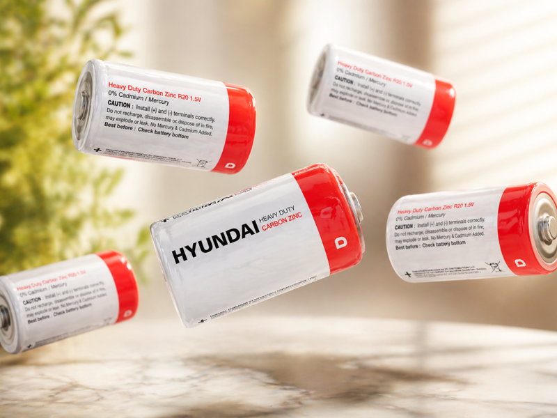 Батарейки Hyundai Heavy Duty R20 Карбон-Цинк, 1.5V, 3,42&times;6,15см/2шт 4820001003038 фото