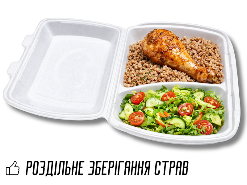 Ланч-бокс одноразовий на два відділи 40х25х4.5см 4820001003003 фото
