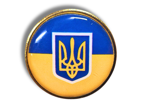 Значок флаг с гербом (круг) 25х25х10мм 4820001003001 фото