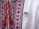 Значок флаг с гербом (круг) 25х25х10мм 4820001003001 фото 6