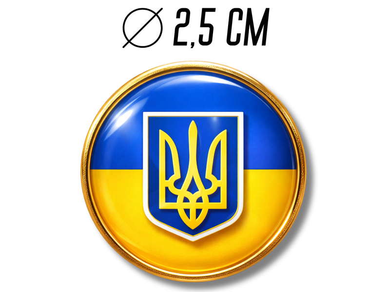Значок флаг с гербом (круг) 25х25х10мм 4820001003001 фото