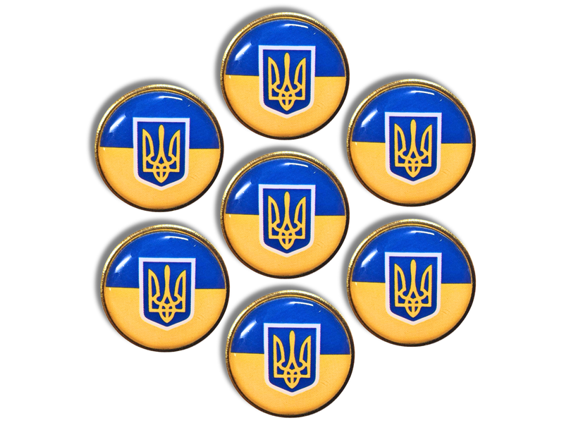 Значок флаг с гербом (круг) 25х25х10мм 4820001003001 фото